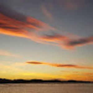 Meet your Posher, Fergus